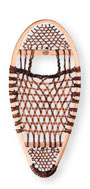 Bearpaw